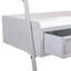 Loistene Iron Leaning / Ladder Desk