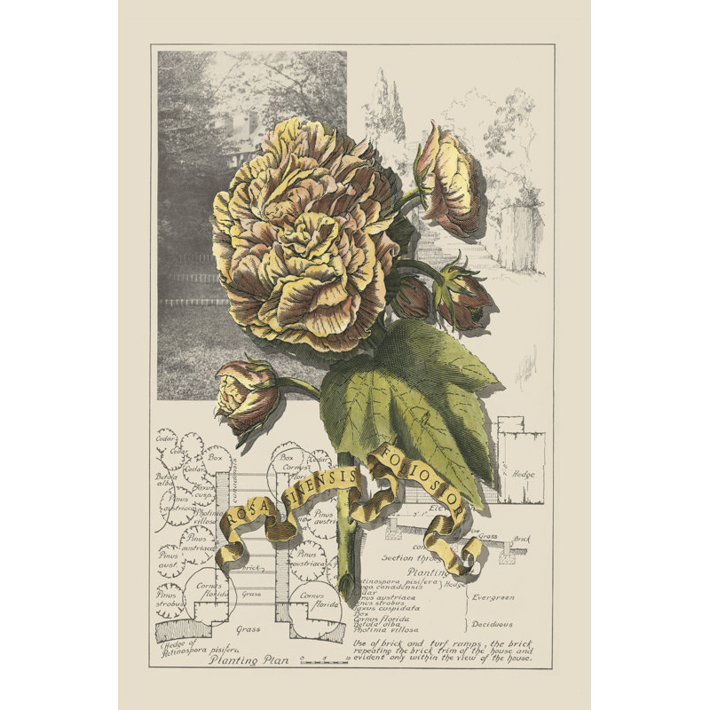 Garden For June II by D. Bookman - Wrapped Canvas Print, 46cm H x 30cm W