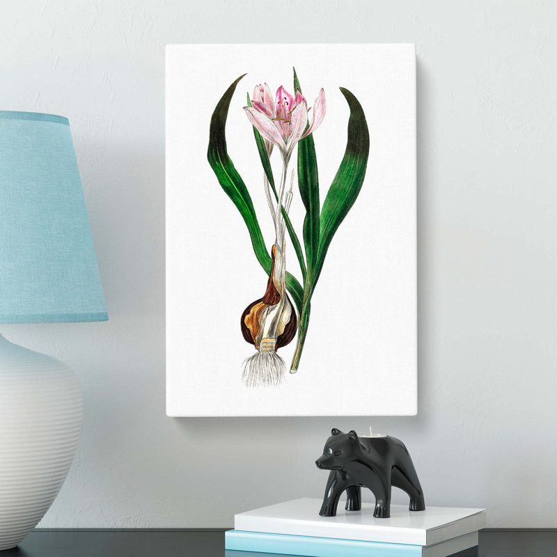 Autumn Crocus Flowers Illustration - Wrapped Canvas Painting Pint - Wrapped Canvas, 50cm H x 35cm W x 3cm D
