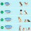  Grande baignoire pliable en PVC pour chiens / chats-88991278-115338473