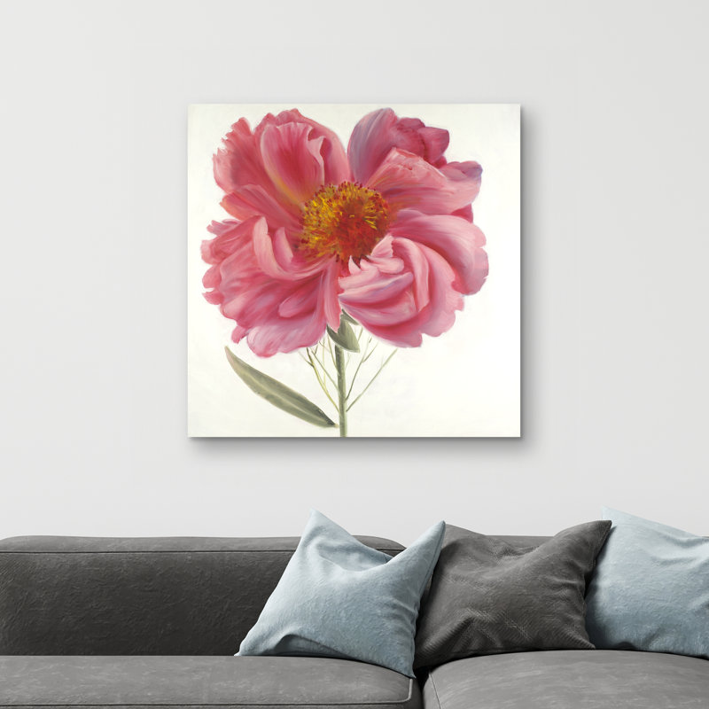 peony flower - 32"x32" art on canvas