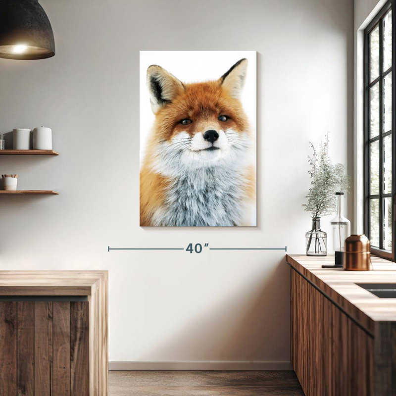 Regard de renard Brampt, H 39 po x l 26 po