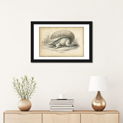 " Great Anteater " by PI Collection