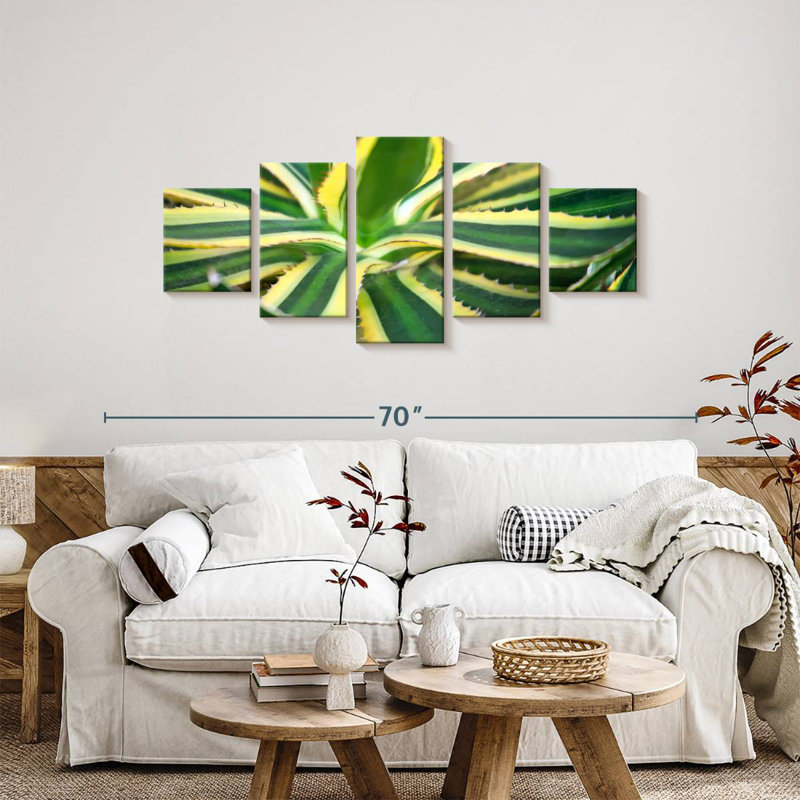 Agave pur, H 24 po x l 55 po