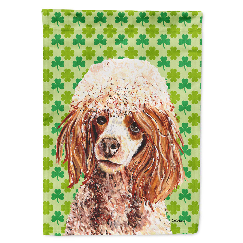 Drapeau de jardin à 2 côtés st. patrick day trèfle, Caniche (brun)