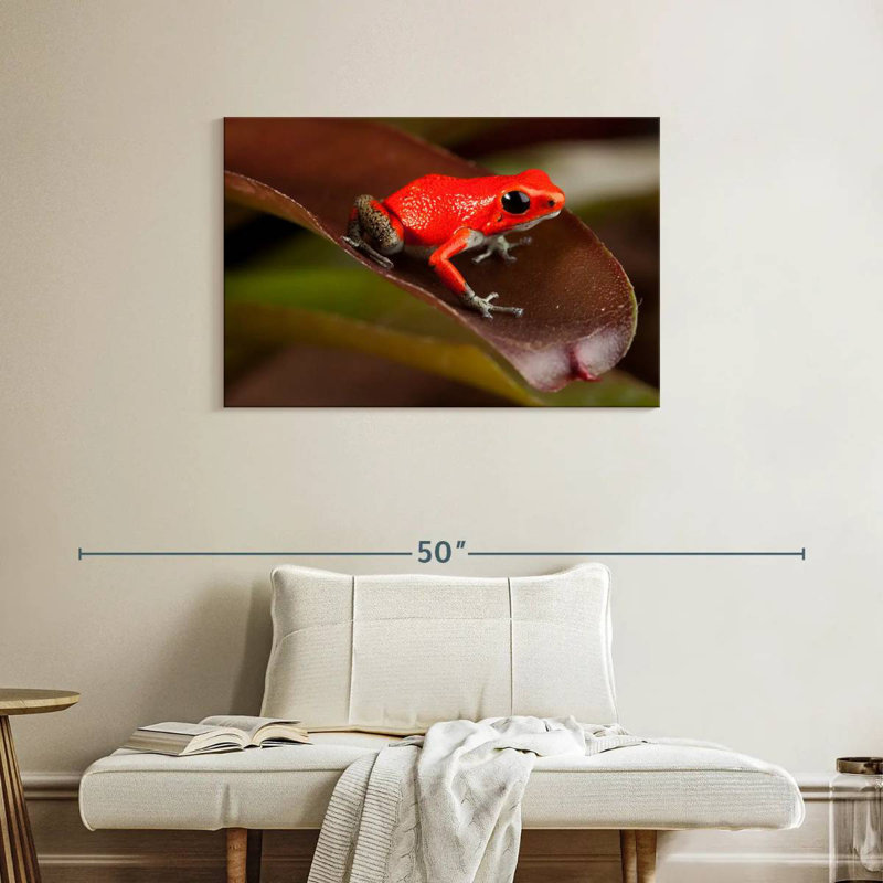 Crowle Poison Frog