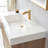 Beira Single Bathroom Vanity with Composite Top-70529477-70529478-130019575
