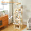 Arbre à chat-1071172284
