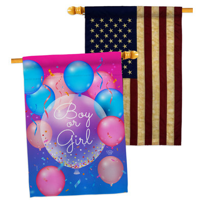 Double Sided 40'' H x 28'' W Polyester New Baby House Flag