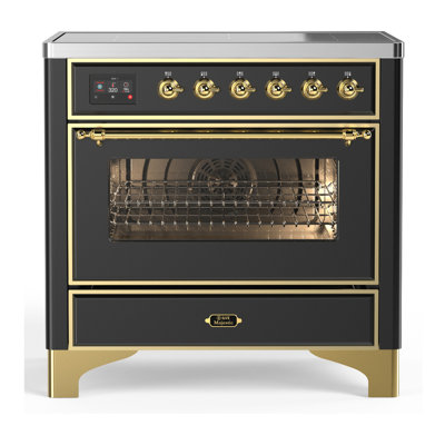 Majestic III Series 36 Inch Induction Range with 6 Induction Elements in Matte Graphite (Brass Trim)