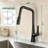 Topcraft Single-Hole Single-Handle Pull-Down Kitchen Faucet-125501490