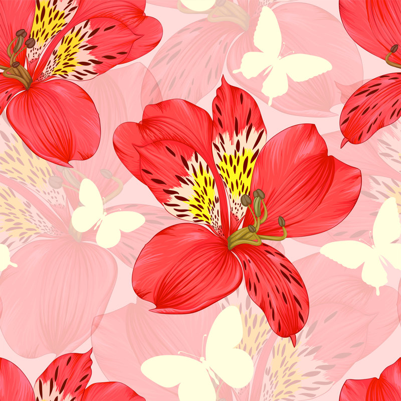 Shambaugh Alstroemeria Flower - Wrapped Canvas Print, 30cm H x 30cm W x 3.8cm D