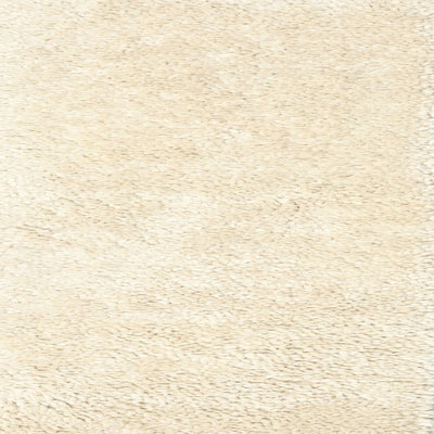 Indoor Rug