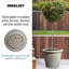 Rustic Style Rolled Rim Wide Vase Planter-87131649-87131650