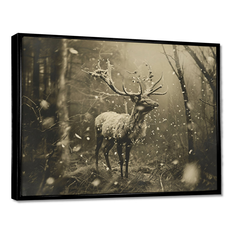 Chevreuil sauvage dans la forêt d'hiver, Toile avec cadre noir, H 12 po x l 20 po x P 1 po