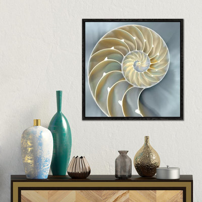 Nautilus In Blue I