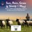 Wonderful Wool Mattress Topper 100% British Wool Moisture Cotton Cover-92281188