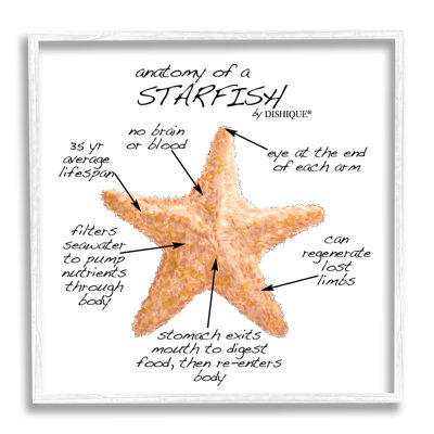 " Anatomy Of Starfish Sea Life Wildlife Educational Facts " by Dishique