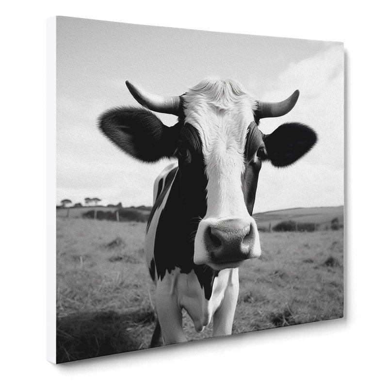Cow Photograph - Print