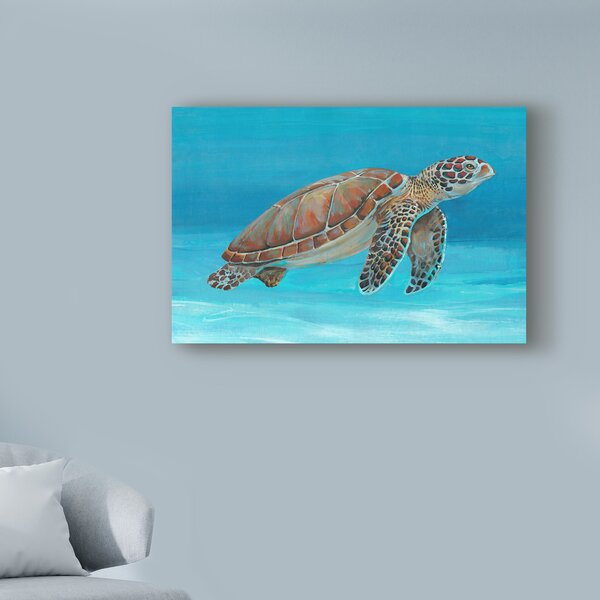 Highland Dunes Ocean Sea Turtle I On Canvas by Timothy O' Toole Print ...