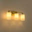 3 - Light Vanity Light