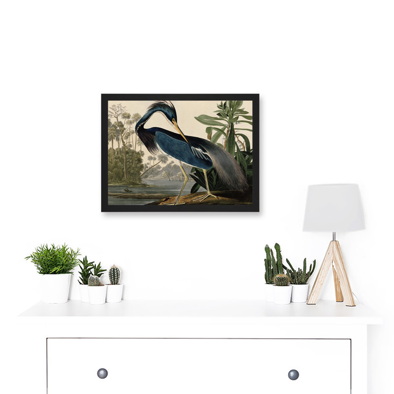 Birds Louisiana Blue Heron 1 Piece Single Picture Frame Painting