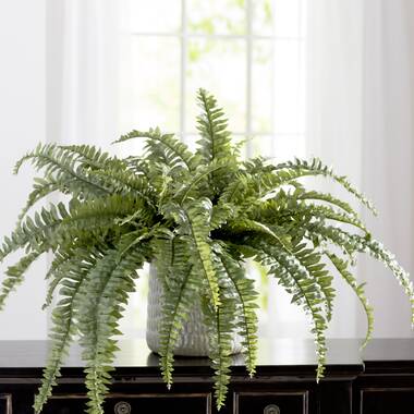 Homelife Set of 2 Artificial Ferns