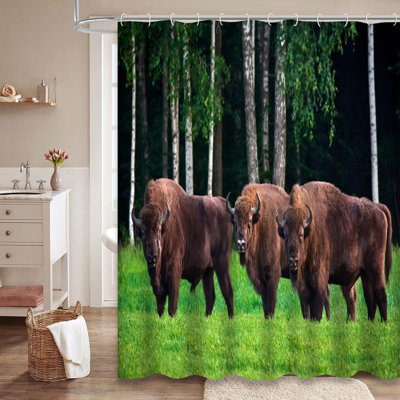 Green Meadow Forest National Park Buffalo Shower Curtain with 12 Hooks