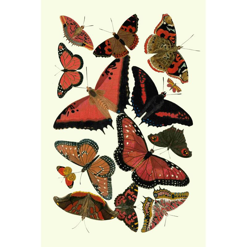 " Red Butterfly Study " by Vision Studio Painting Print, 18" H x 12" W