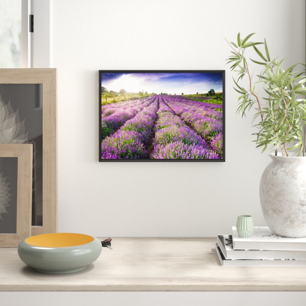 Gerahmtes Wandbild Lavendelfeld Provence