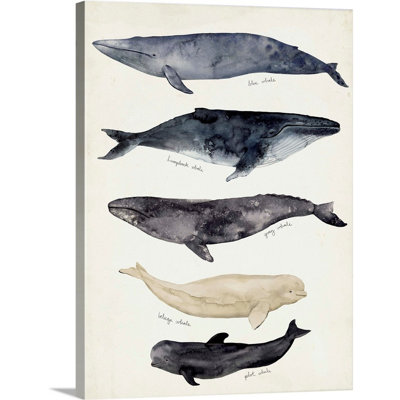 " Whale Chart II " by Victoria Barnes