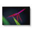 Purple Dragonfly - Wrapped Canvas-55322362