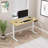 Kettie Essential Standing Desk
