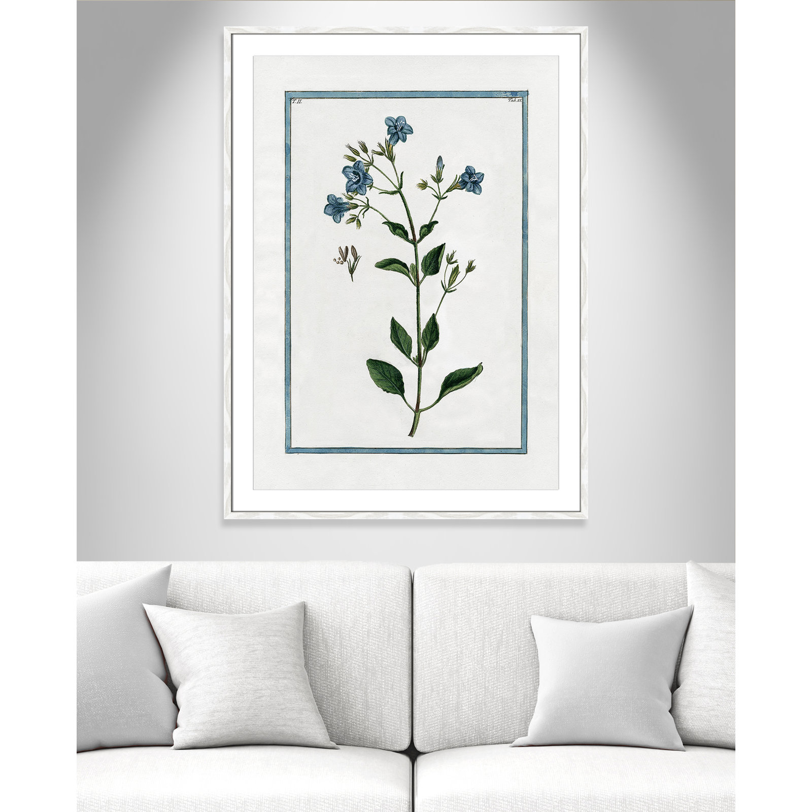 Colombe "Shabby Elegance Botanical II" Print, 29.5" W x 41.5" H, White Framed