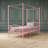 Canopy Metal Bed