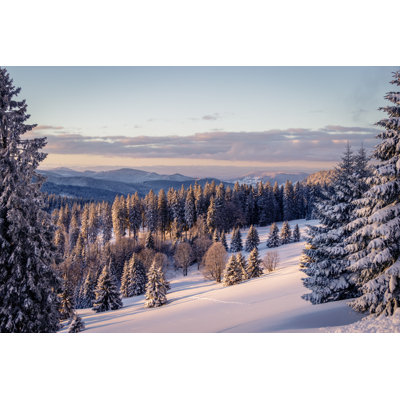 Leena Early Morning Snow Forest by Dennis Wegewijs - Wrapped Canvas Print