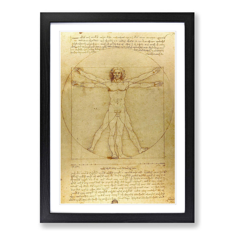 Vitruvian Man by Leonardo Da Vinci - Single Picture Frame Painting, Black