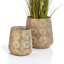 Indoor Planters