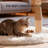 Solid Wood Cat Tree Condo, Modern Cat Tower for Indoor Cats, Wooden Cat Furniture, Sisal Scratching Posts and Hanging Toys, 33"