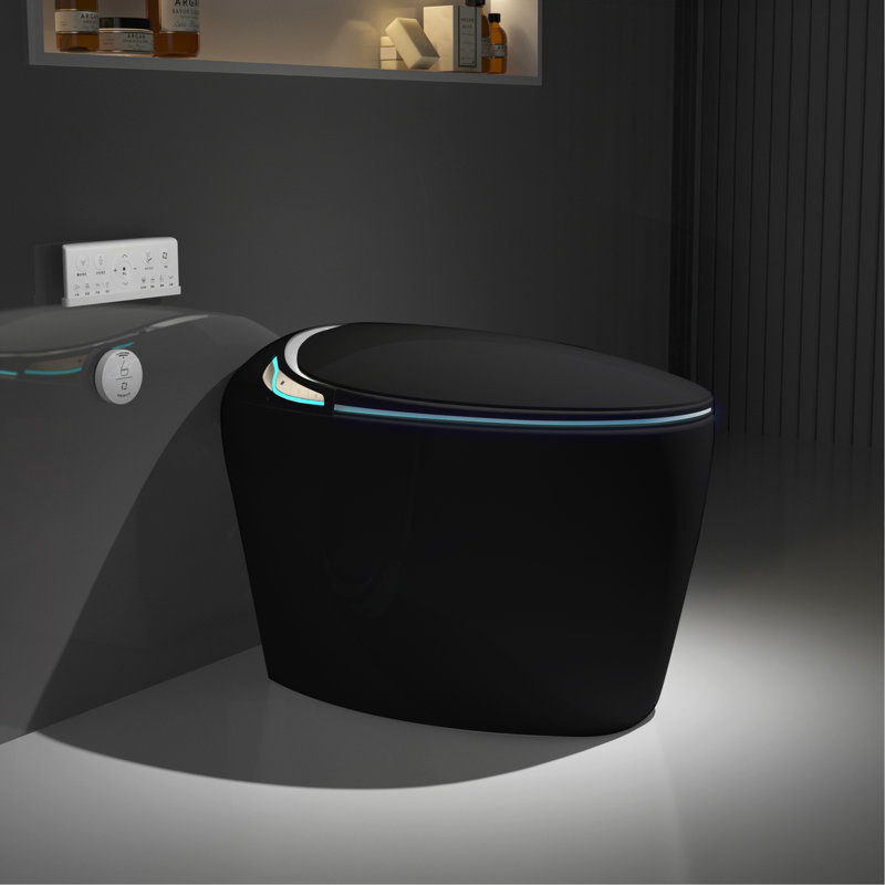Unique Smart Toilet With Bidet Built In, Black