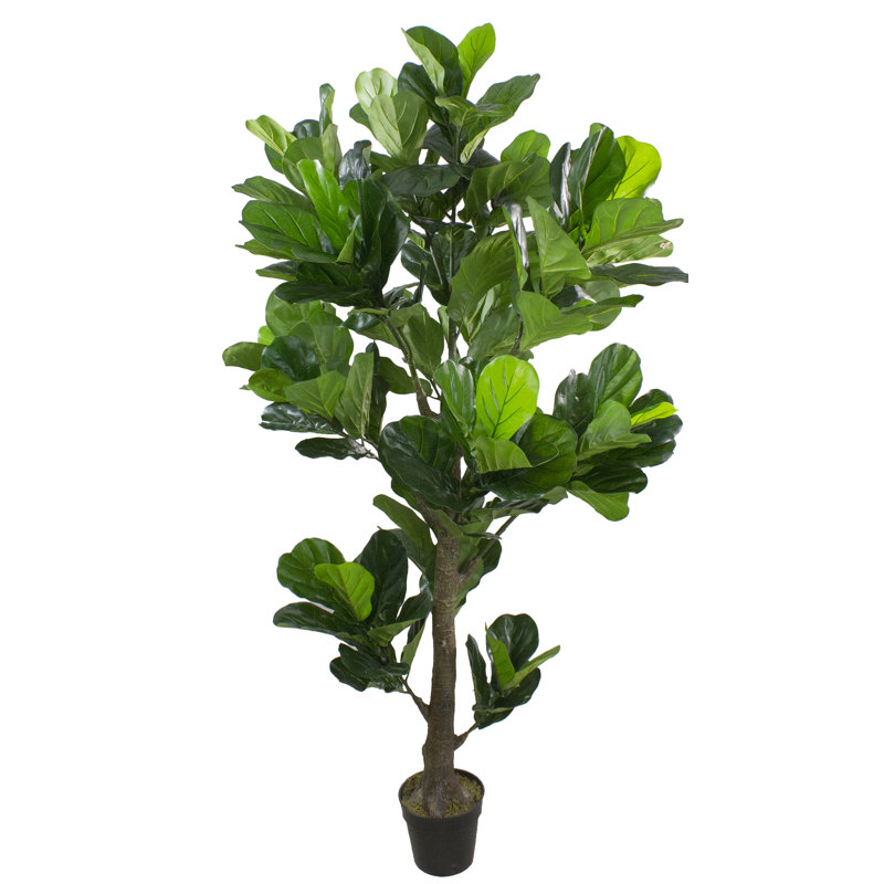 6.25' Two Tone Green Plastic Potted Fiddle Leaf Fig Tree