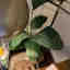 Customer photo 3 of 3