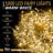 NETTA Fairy String Lights with Clear Cable and 8 Different Modes - 1000 LED / 50M Lit-Length