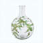 Vase en verre transparent 11 "avec cou élancé H 11", motifs botaniques verts et dorés, vase à fleurs décoratif