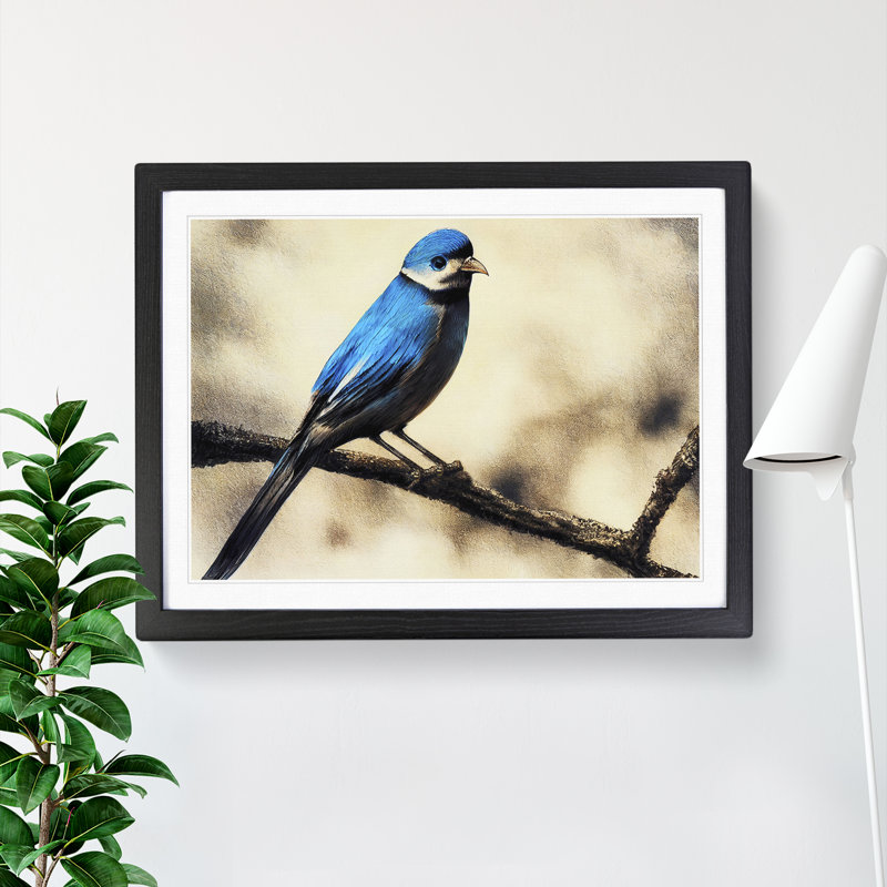 Expressive Bird - Single Picture Frame Print, Black Framed, 46cm H x 64cm W x 2cm D