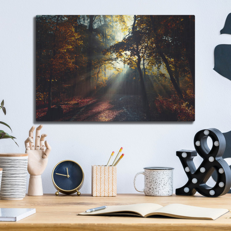 Loon Peak 'Magic Forest Light' by Dirk Wustenhagen Metal Wall Art, 12" H x 16" W