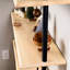 Ceballos Floating Ladder Bookcase/Bookshelf
