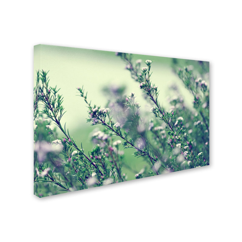 Memories of Summer Floral Landscape Canvas Art