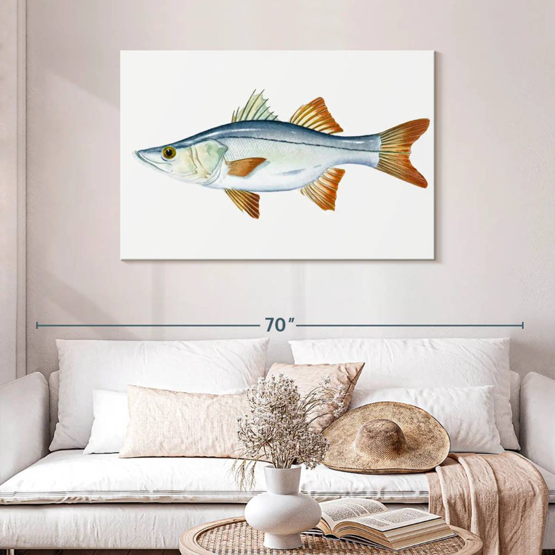 Brampt Snook
