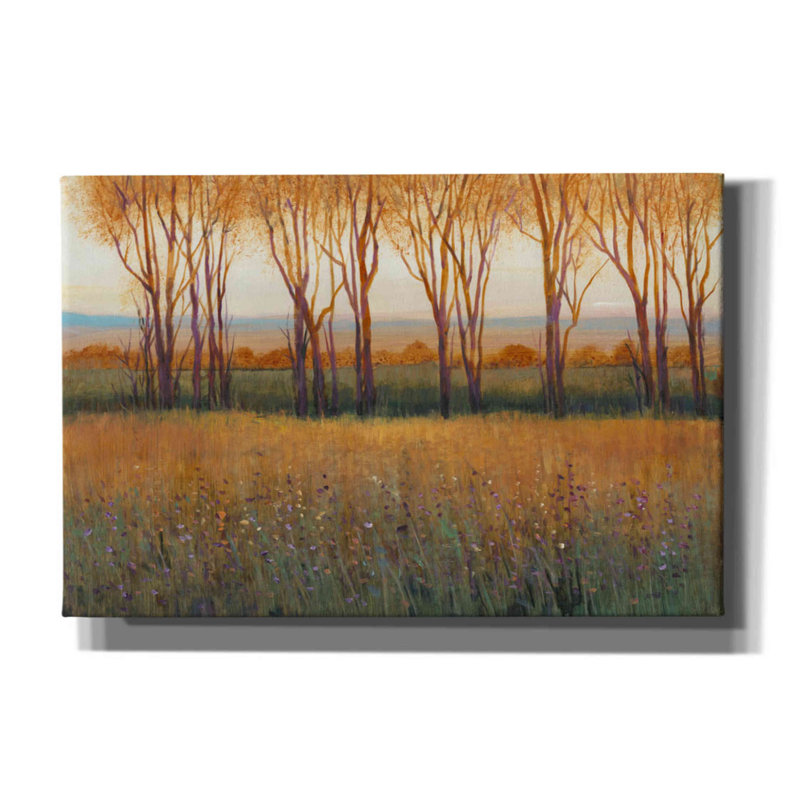 «Glow in the Af après-midi II» par Tim O'Toole, art mural sur toile, H 40 po x l 60 po x P 1,5 po